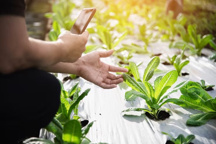 Precision Agriculture & Smart Spraying: The Future of Crop Protection