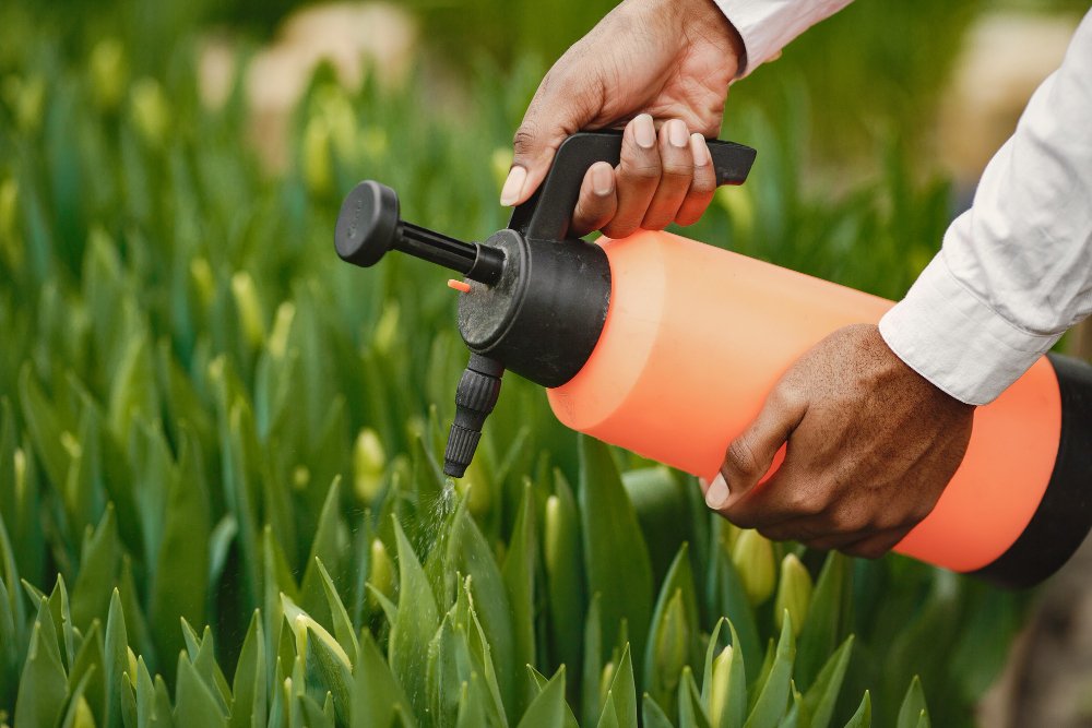 Herbicide product for weed management