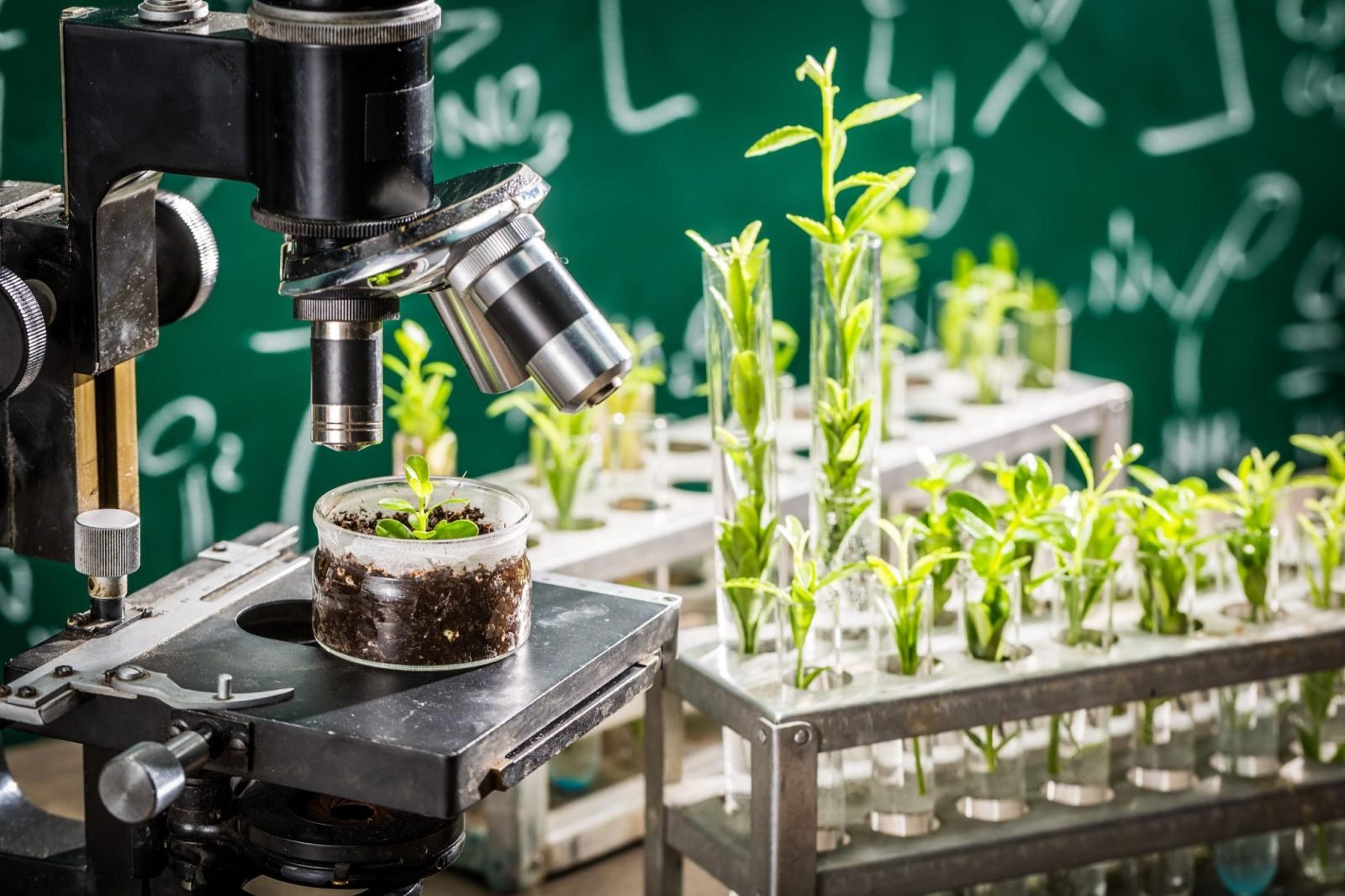 Terra Agroscience research lab testing crop samples